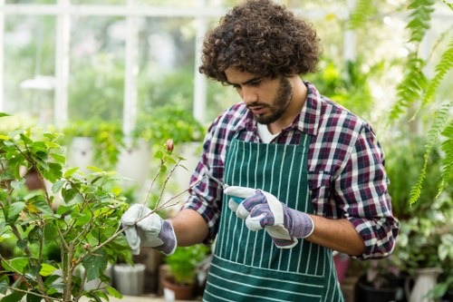 Professional hedge trimming service in Highgate