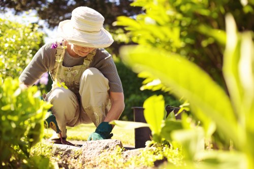 Highgate climate effects on garden maintenance