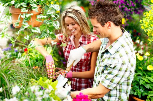 Professional landscapers designing a garden layout in Highgate