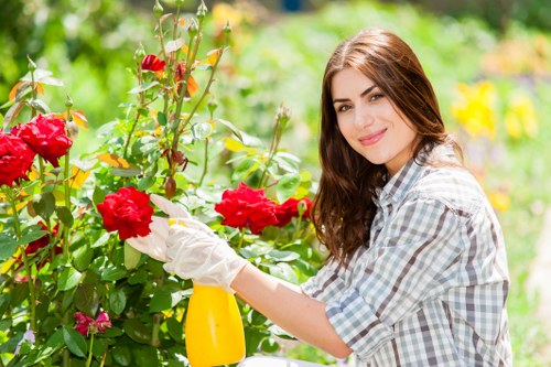 Commercial property garden clearance in Highgate
