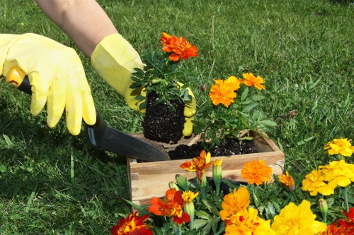 Sustainable gardening practices by professionals