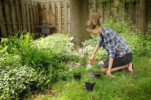 Selecting the right plants for Highgate gardens