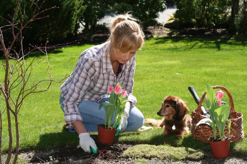 Sustainable maintenance practices for Highgate gardens