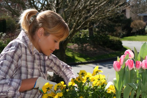 High-quality hedging tools and techniques